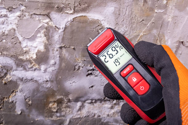 Best Residential Mold Remediation in Bear Valley Springs, CA