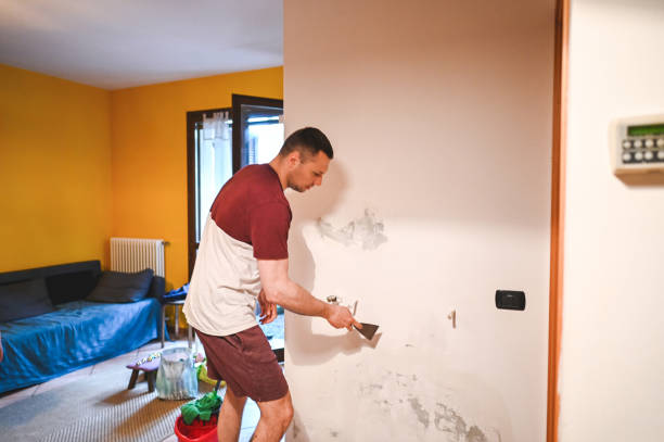 Best Health and Safety Mold Remediation in Bear Valley Springs, CA