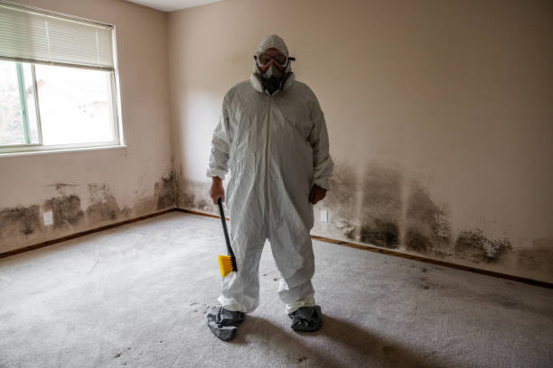 Best Mold Remediation for Specific Building Types in Bear Valley Springs, CA